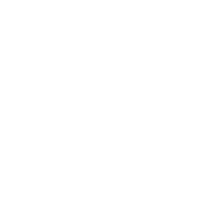 BSI-SANS1910-KM825588